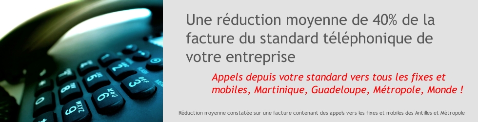Reduction Facture Telephonique entreprise Martinique